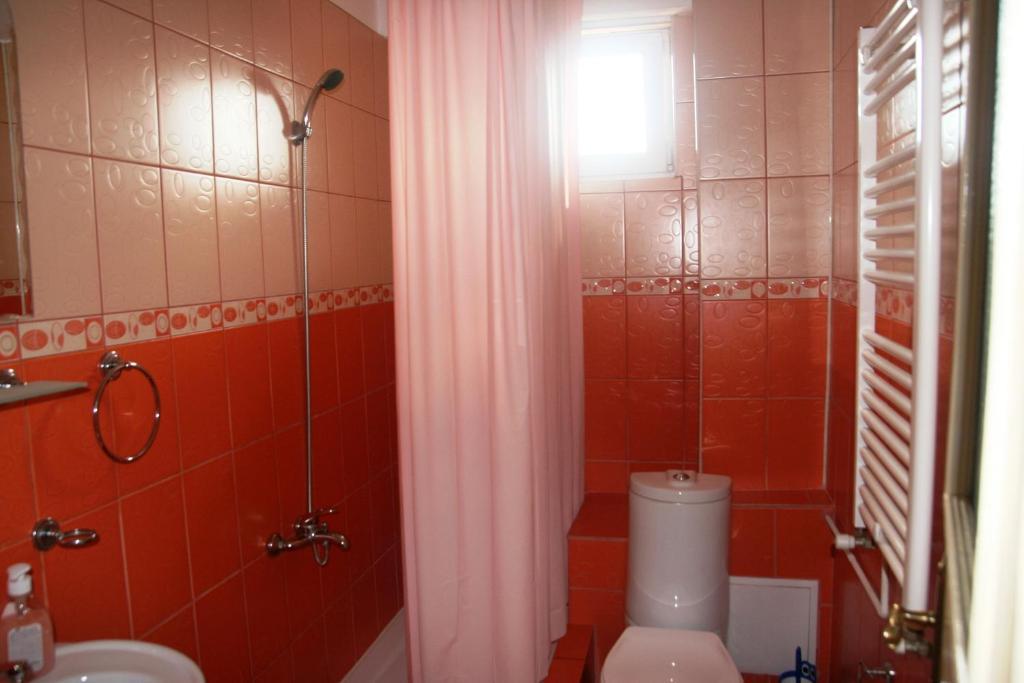 Pensiunea Sydney Timisoara Phòng bức ảnh