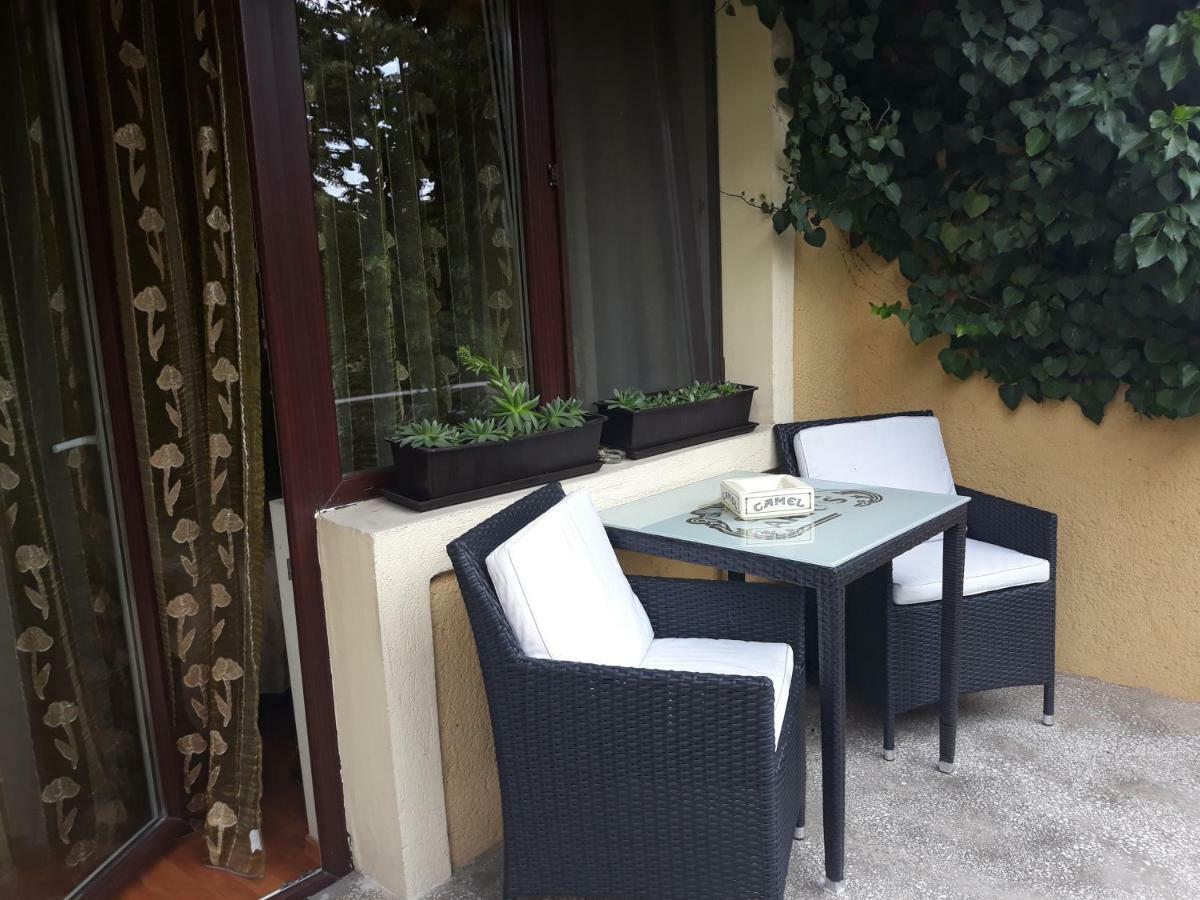 Pensiunea Sydney Timisoara Ngoại thất bức ảnh